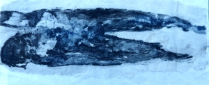 0R-C300-COLLAGRAPH.JPG